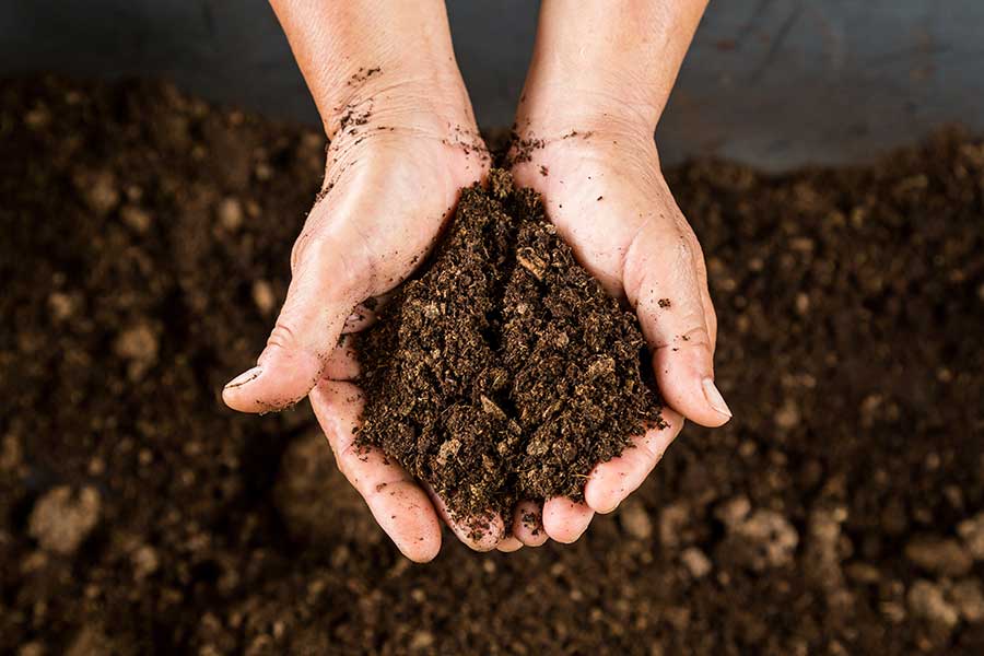 Gardener holding rich compost in his hands